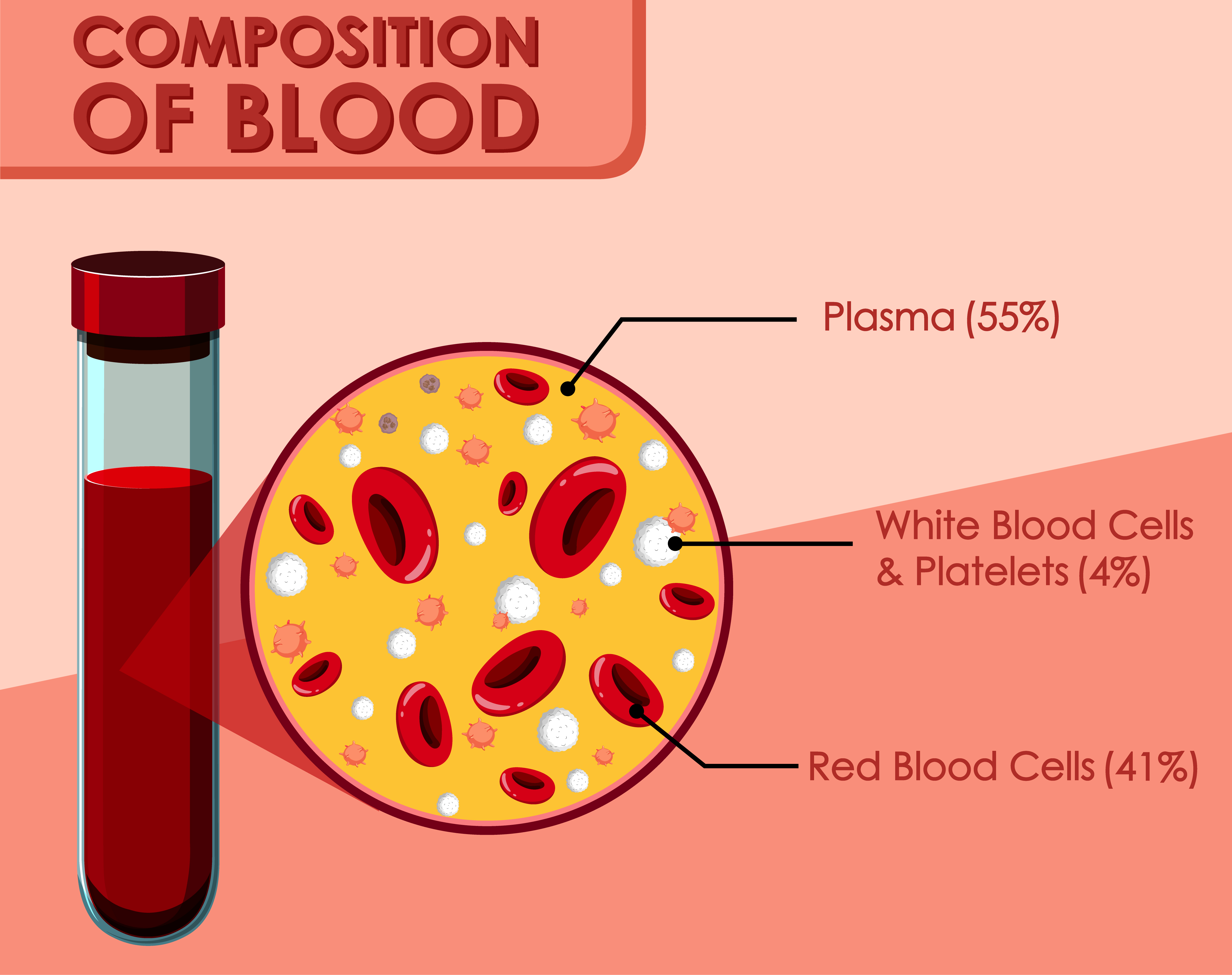 Donate Plasma in Orlando, FL: Locations, Pay & Safety Tips
