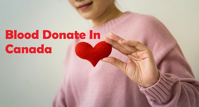 Donate Blood in Canada: Everything You Need to Know to Save Lives